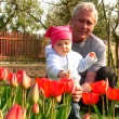 u d�de�ka taky vyrostlo spoustu zaj�mav�ch kyti�ek