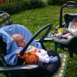 zahradn� p�rty :-)