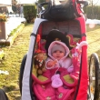 sva�inka na zahr�dce na slun��ku
